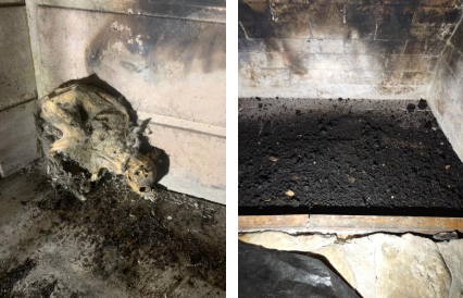 chimney animal intrusion