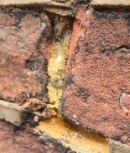 Missing Mortar Joints